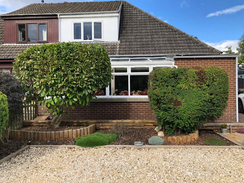 tree trimming and hedging