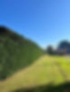 garden maintenance hedging