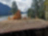 stump of a tree with lake and mountains on a background