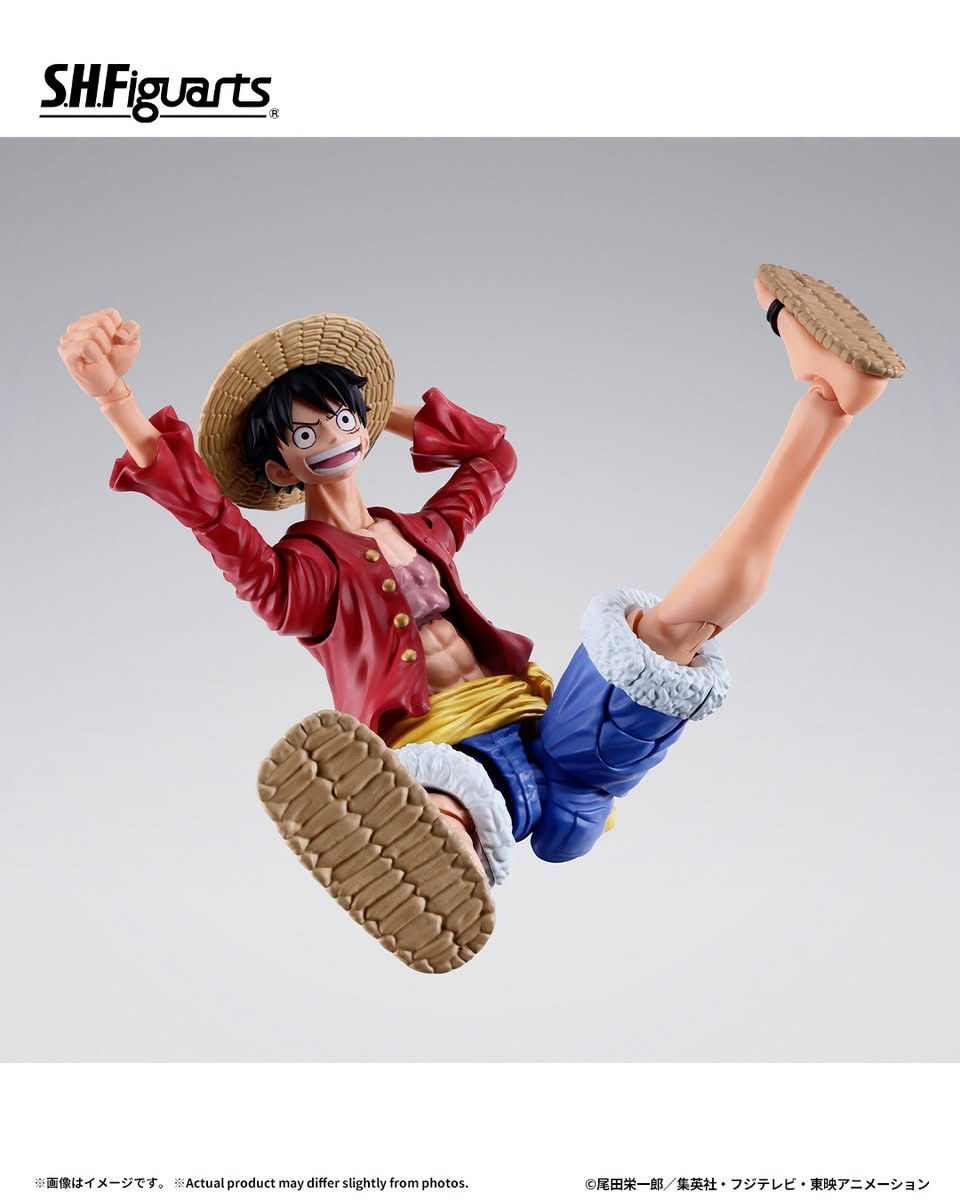 Miniature : S.H.Figuarts Monkey D. Luffy -Two Years Later- Japan version