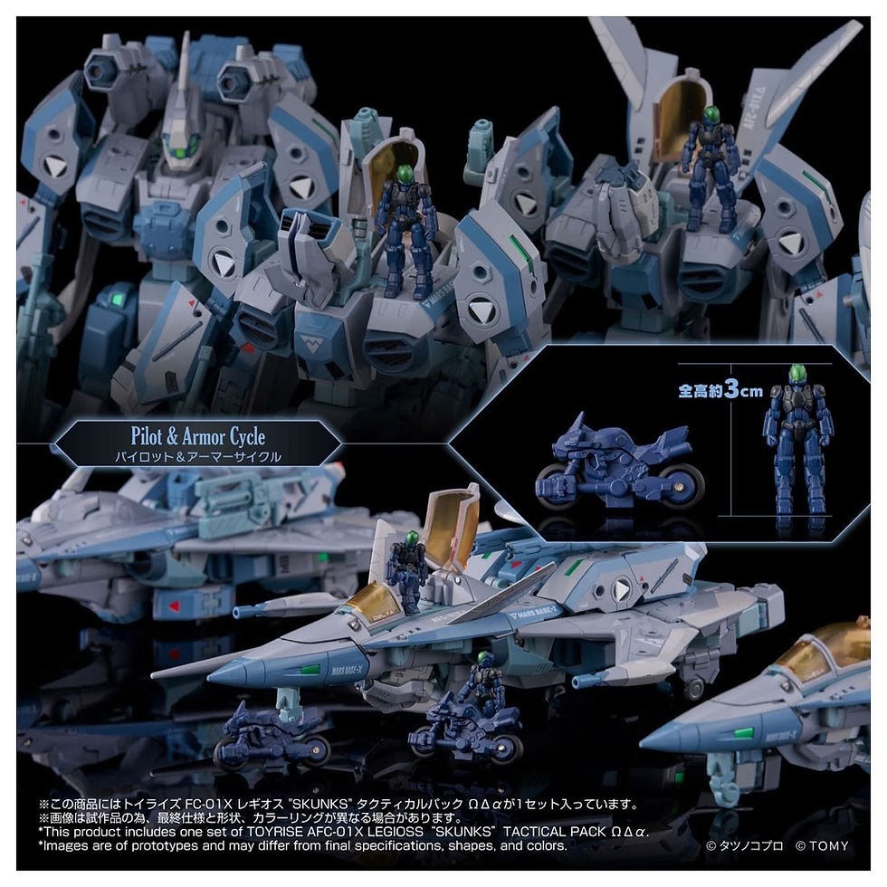 Thumbnail: TOYRISE AFC-01X Legioss “SKUNKs” Tactical Pack ΩΔα Japan version
