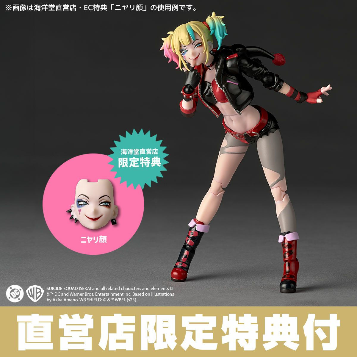 Kaiyodo Revoltech Amazing Yamaguchi Harley Quinn Suicide Squad Isekai Ver.