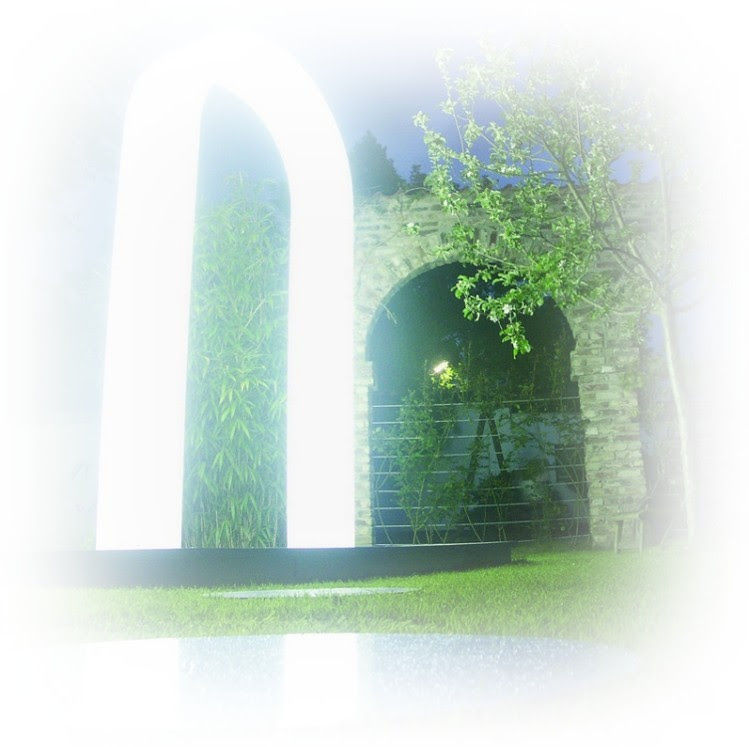 July 15th Weekly E-News
