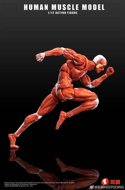 Miniatura: KEEPGOING Human Muscle Model Red 1/12 Scale Figure