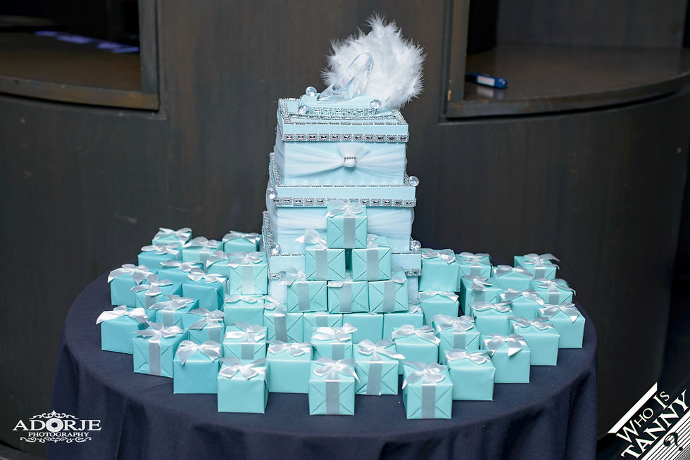 Chianne's sweet 16 re-25