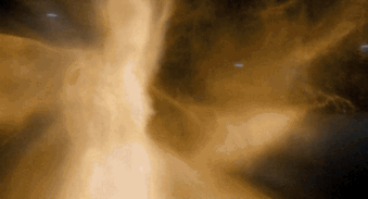 🚨The Difference. Be Careful!