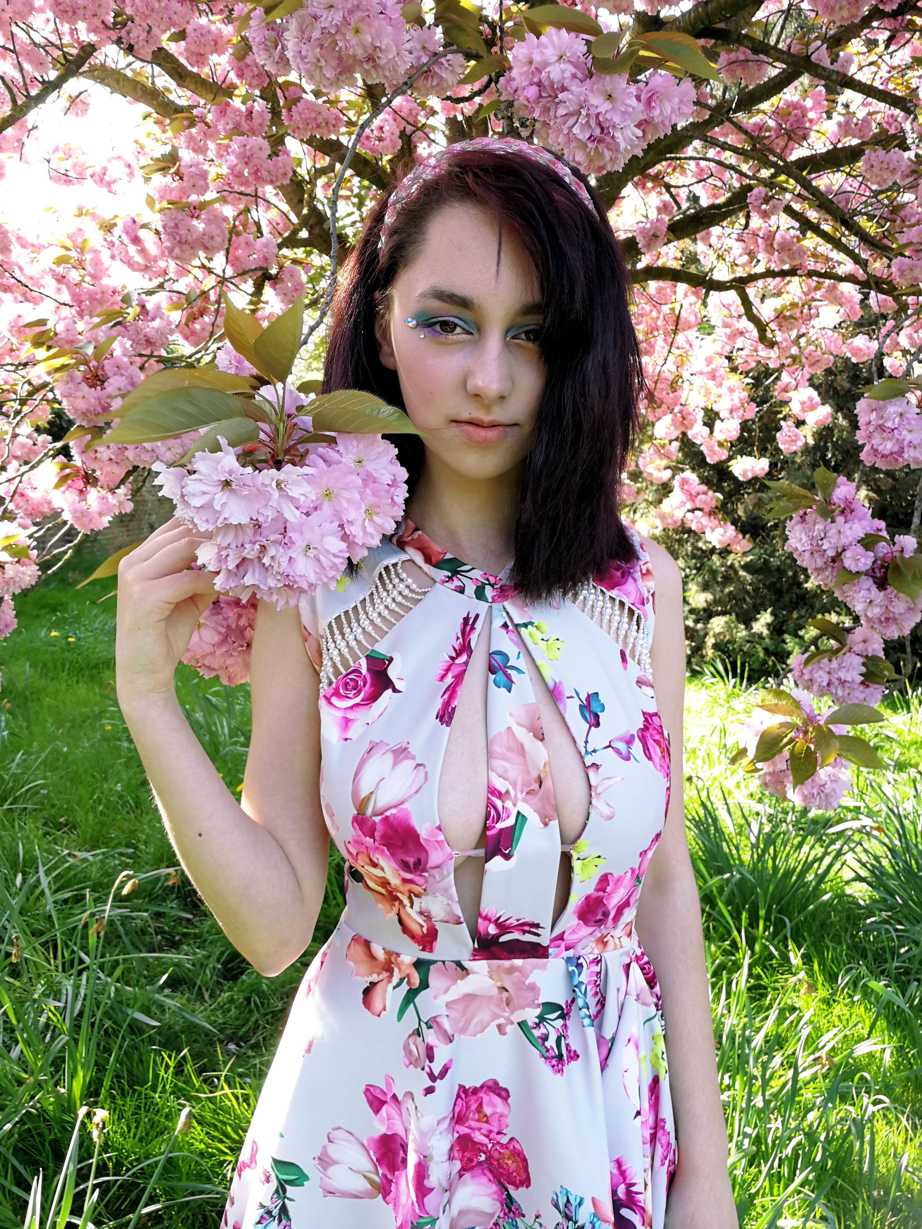Rose Garden Dress