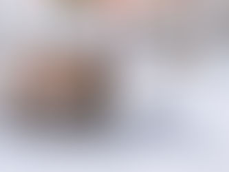 Desajuste en la Oferta y Demanda por TipologÃa de Vivienda en Toledo