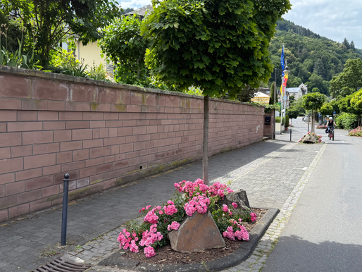 Systematischer Knöllchenbetrug? – Ordnungsamt der VG Traben-Trarbach unter Druck
