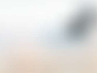 Newsletter No. 5 : Summer 2025