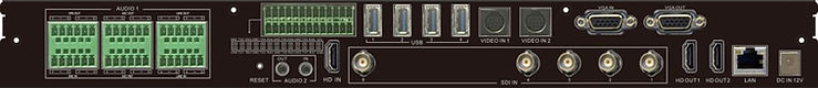 Bee9PlusBack.jpg