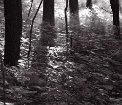 L31.jpg