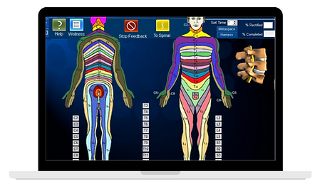 Untitled design (19)_edited.png