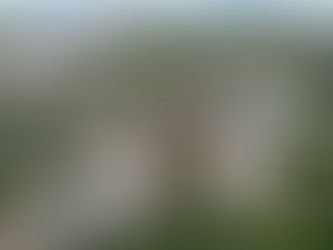 Savia, en Costa Rica, fue reconocida como la Mejor Zona Franca Emergente de las Américas en 2026