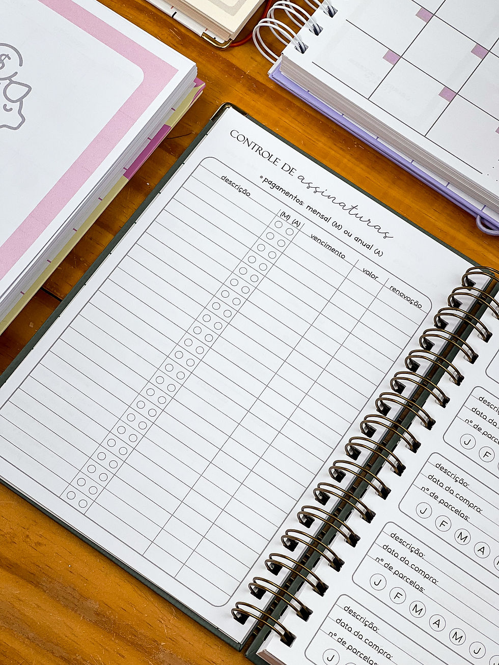 Miniatura: Planner Financeiro