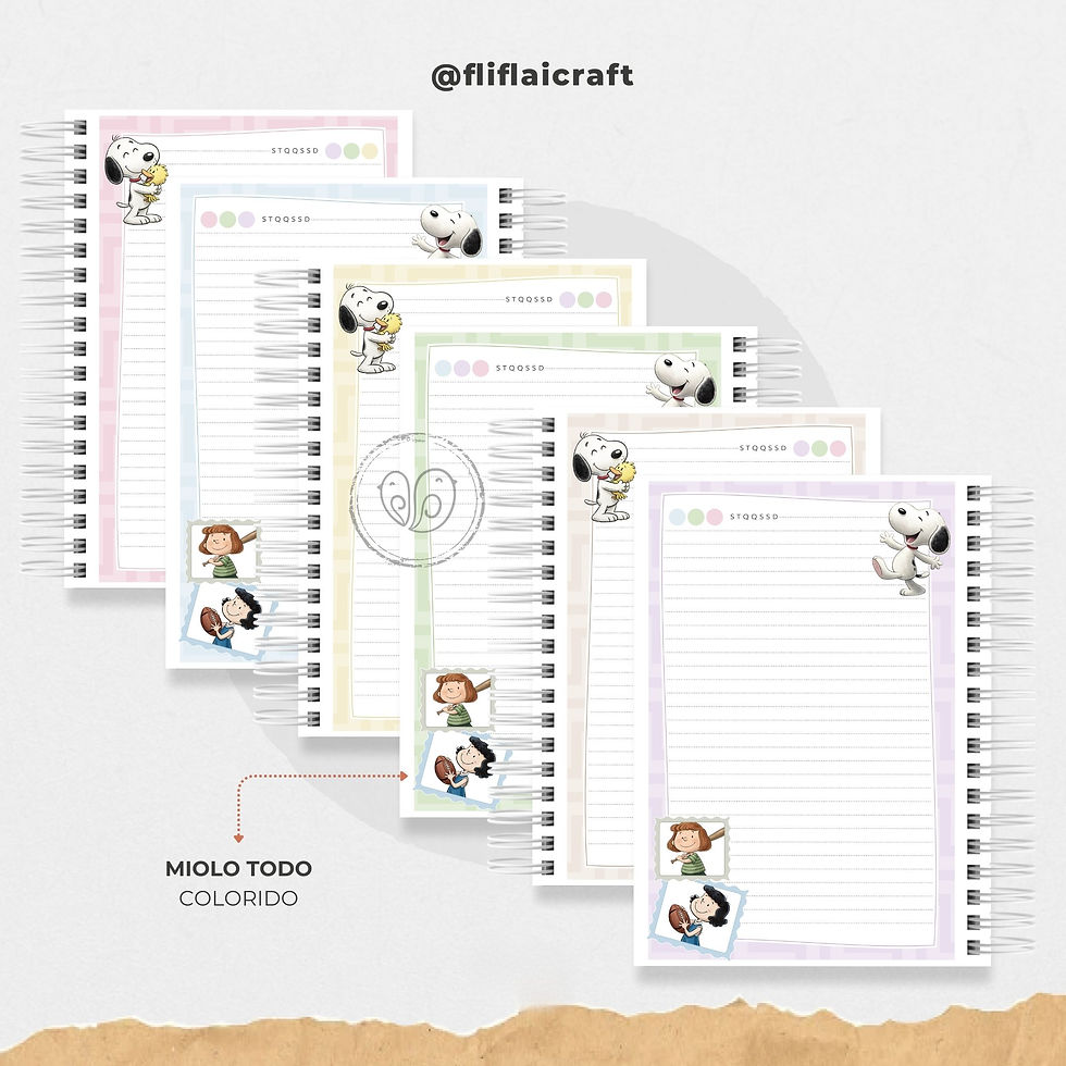 Miniatura: CADERNO UNIVERSITÁRIO - COLEÇÃO NOSTALGIA