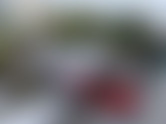 Cannes 2026: Where Cinema, Business and Lifestyle Meet