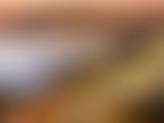 Luxury villa rentals in Cannes: our most beautiful villas for an exceptional summer