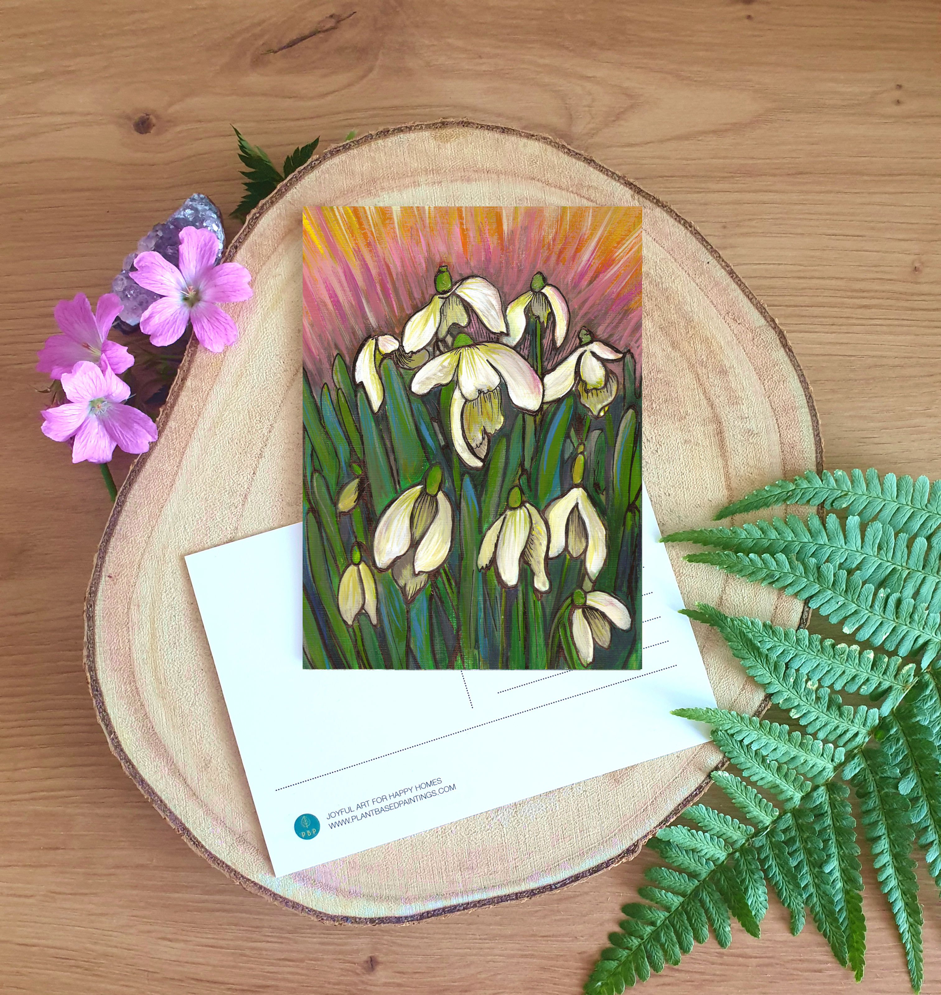 Snowdrop - A6 Postcard