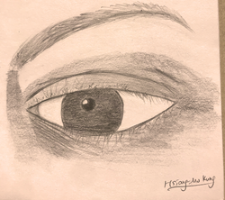 Meditation 2