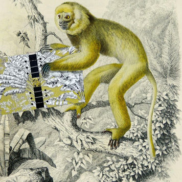 isabelle rollet, reliure, roanne, relieur, copte, singe, noa noa, botanique