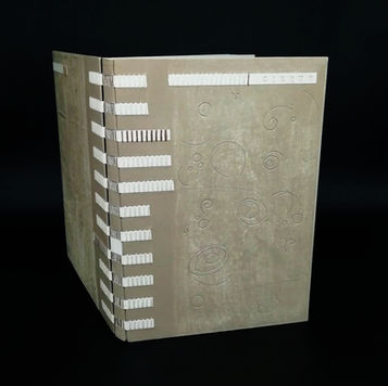 rollet, reliure, roanne, relieur, mors ouvert, box, pierre etaix, cirque