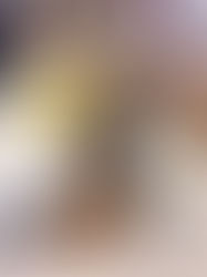 Woolly Wild Ones - Hares