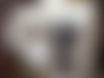 Wildlife Houses & Feeders by Workbridge