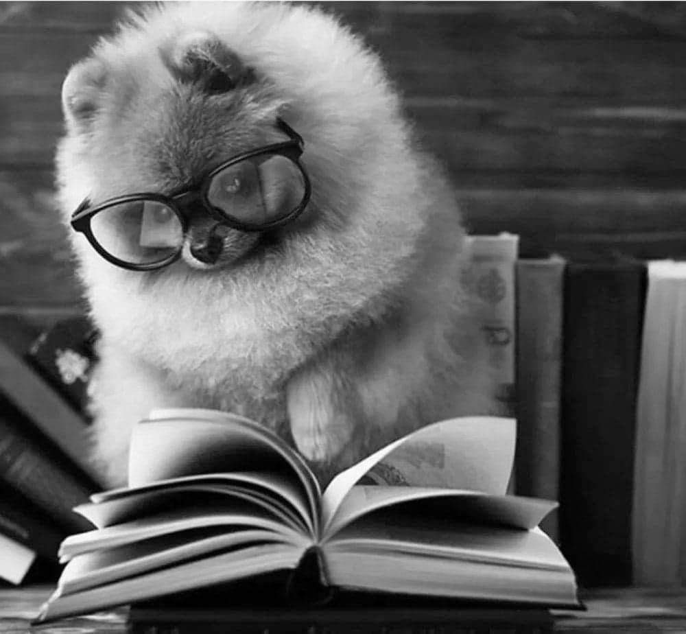 reading.gif