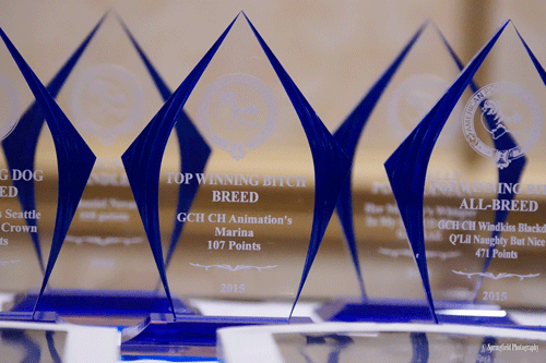 awards.gif