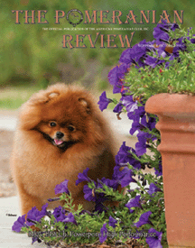 reviewcover.gif