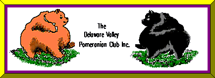 Delaware Valley Pomeranian Club