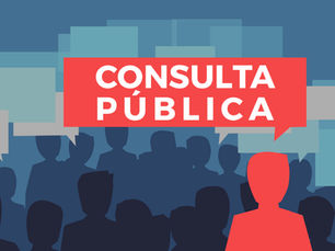 Consulta Pública: Jovens, que futuro?