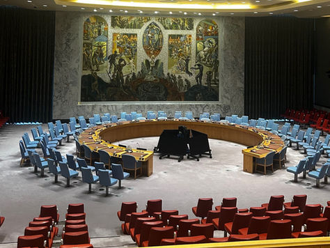 Conselho Nacional de Juventude no ECOSOC das Nações Unidas