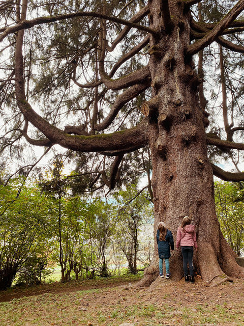 Lernort Wald, draussen lernen, Naturlehrpfad