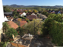 IMG_1808.jpeg