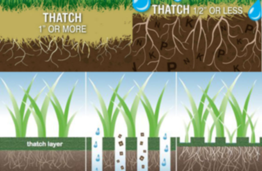 De-Thatching