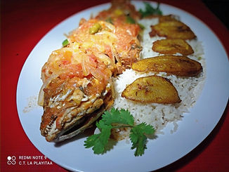 IMG-20250918-WA0055_edited.jpg