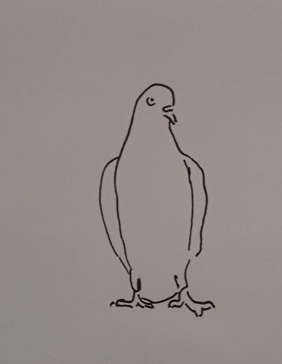 Some of the Drawings for Doves Film (3)