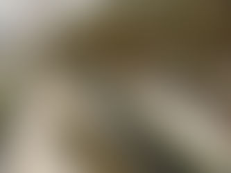 もう一つの農作業とは・・・