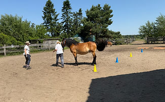 Bodenarbeitsabzeichen