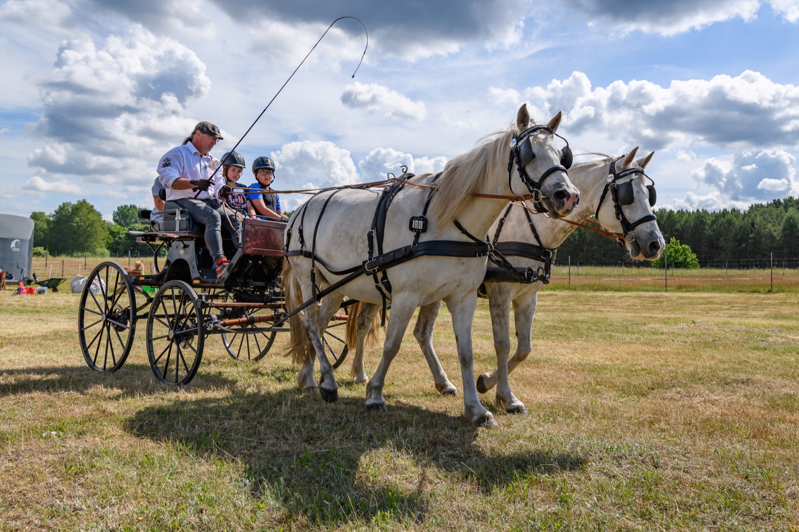 Zweispänner mit hellen Ponys bei den Kinderfahrsporttagen 2026 in Markgrafpieske