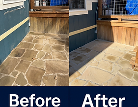 Untitled design copy.PNG