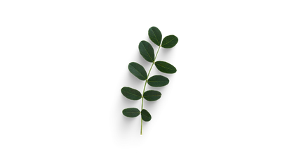 Design sem nome (6).png