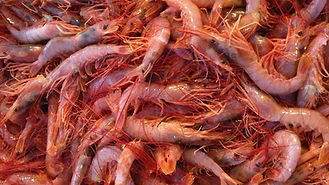 LANGOS.jpg