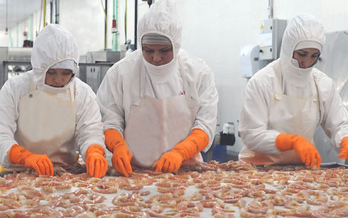 Langos-vpy.jpg