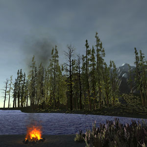 World Simulation