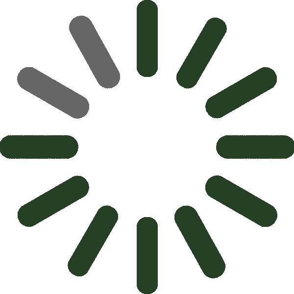 Loading (1).gif