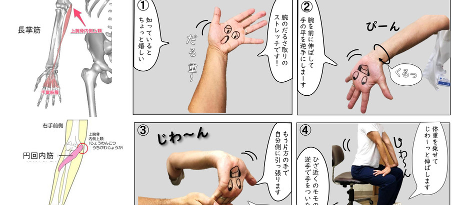 健康たいそう 健康たいそう