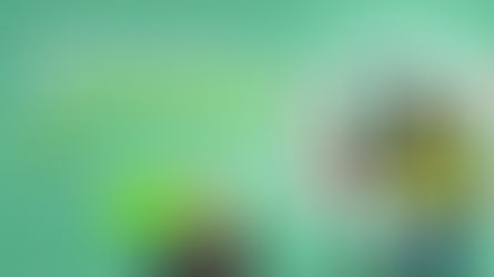 Como Evaluar el Potencial de un Influencer